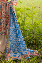 UAE-3 Piece Printed Lawn Suit with Embroidered Border CL-62084